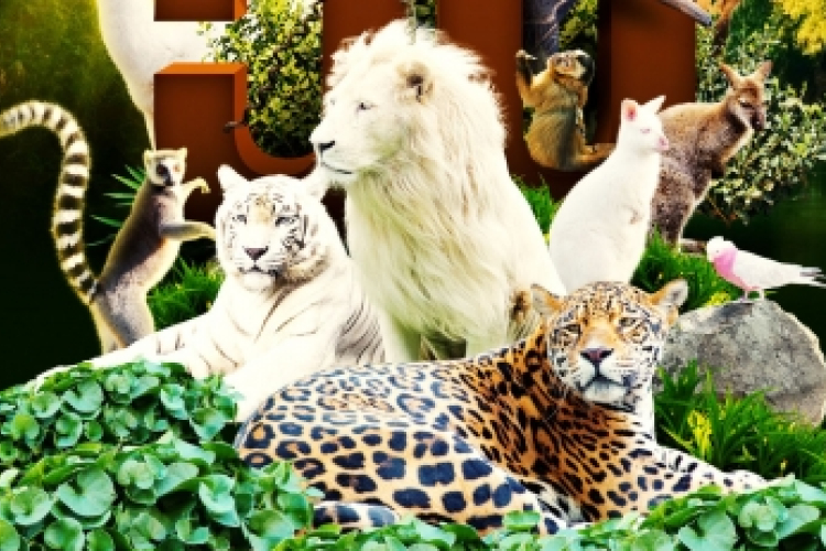 Május 1. Családi nap az állatkertben