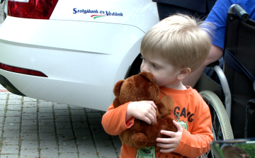 Mackókkal a gyógyulásért