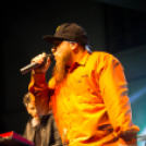 RómerKvelle 2015 - Irie Maffia _ photo Gombás Ákos