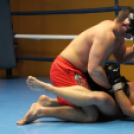 2013.02.16.Szombat Profi MMA És Box Mérkőzés Fotók:árpika