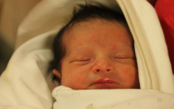 Algács Nikolasz Roland 