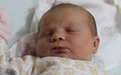 Juhász Dorka Anikó