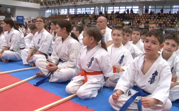 Karate Dana Kupa Győrben