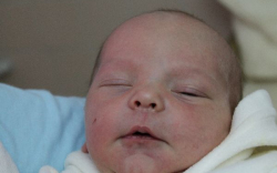 Fazekas Krisztofer Máté