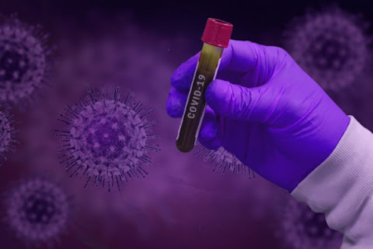 Markánsan növekszik a szennyvíz koronavírus-koncentrációja