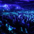 2018.03.17. Halott Pénz koncert Győr Fotók:árpika