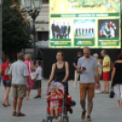 2017.08.26. Bornapok Győrben Fotók:árpika 