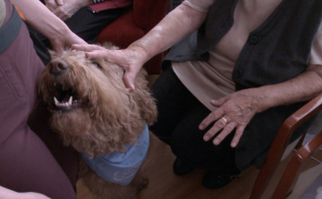 Nudlival teszik szebbé a napot