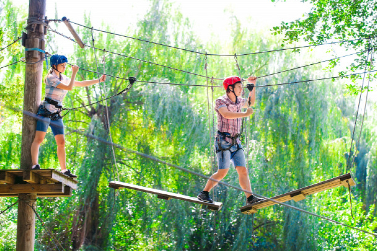 Bezárták a hazai kalandparkok 11 százalékát 