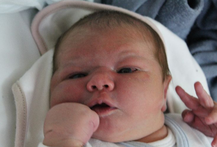 Csóbor Lili Erzsébet