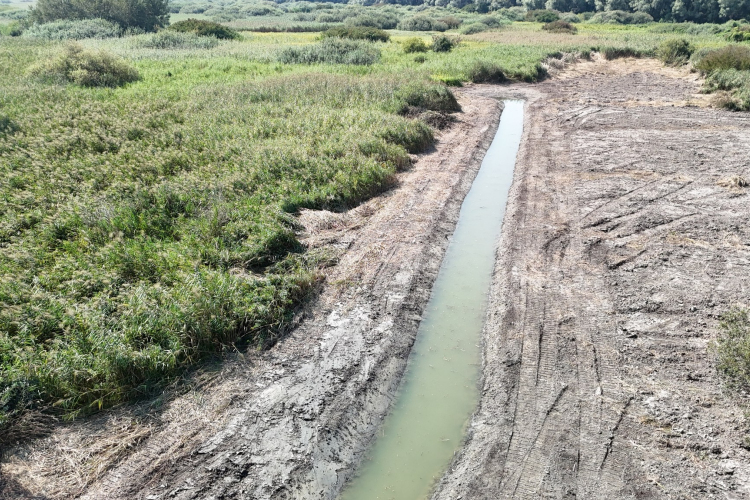 A pocoknak ideális élőhelyeket alakítanak ki a Szigetközben