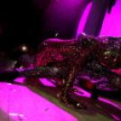 Club Vertigo - Chris Lawyer 2013.03.23. (szombat) (2) (Fotók:Vertigo)