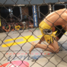 2015.05.09. Profi MMA Gála fotók:árpika