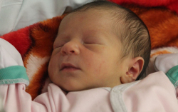 Sárközi Hanna Rubina 