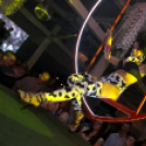 Club Mundo -  Antonyo 2013.07.13. (szombat) (Fotók: Mundo)