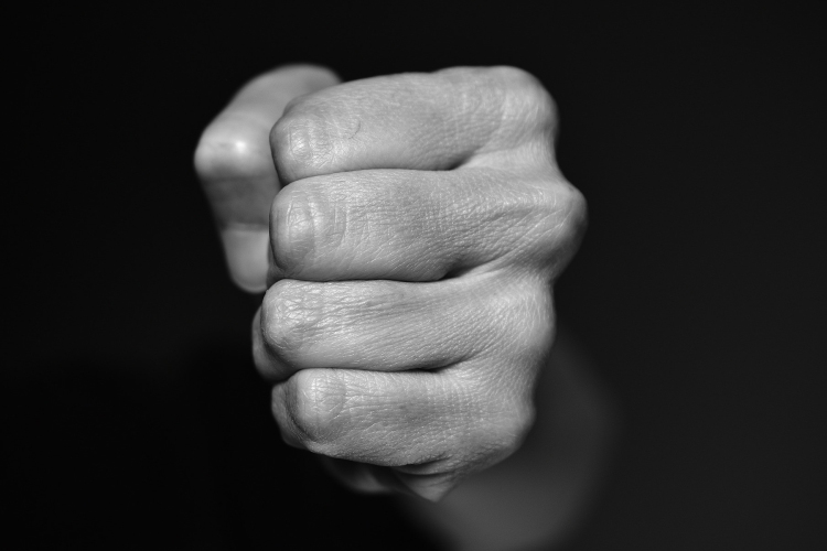 Családi veszekedés során halt meg a 16 éves papagáj