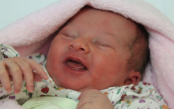 Borbély Bella Cintia 