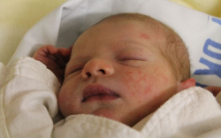 Zsidi Péter Róbert