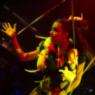 Club Vertigo -  Sterbinszky 2013.11.23. (szombat)