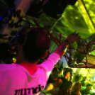 Club Mundo -  All for Ladies 2013.06.01 (szombat) (2) (Fotók:Vertigo)