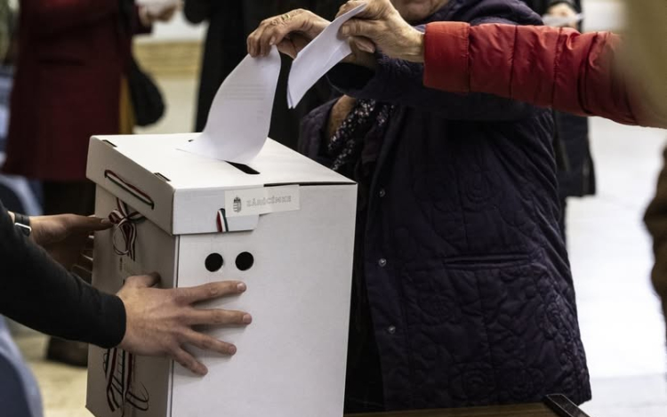 A kiserdőről pró és kontra: szavazás indul