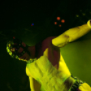 Club Vertigo -  All for Ladies 2013.10.12. (szombat)