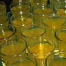 2014.12.19.Pénteki Házibuli Mamma Mia Dj:Ice & Konga Ati fotók:árpika