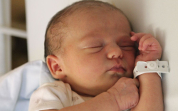 Fazekas Mira Napsugár 