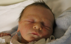 Mészáros Tamás Zoltán