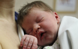 Rózsavölgyi Jázmin