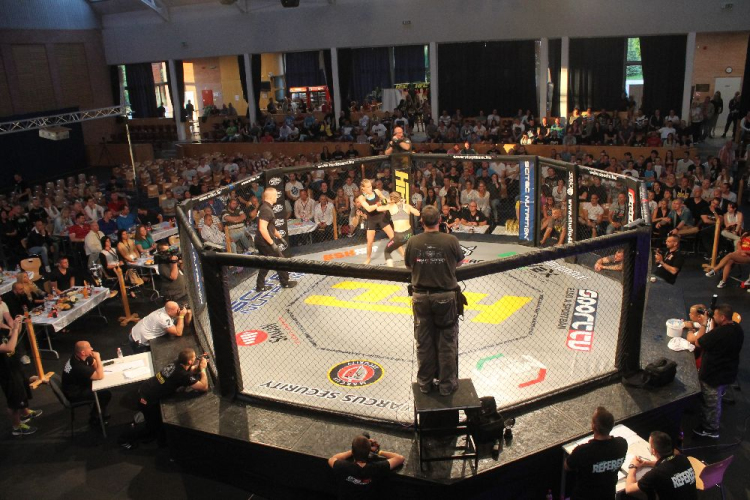 2015.05.09. Profi MMA Gála fotók:árpika