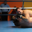 2013.02.16.Szombat Profi MMA És Box Mérkőzés Fotók:árpika