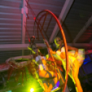 Club Mundo -  Made in Ibiza Show - Angel 2013.08.18. (szombat) (képek: Mundo)