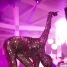 Mundo - The Closing w/ Sterbinszky 2014.09.07. (szombat)