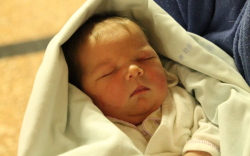 Derkovics Annamária 