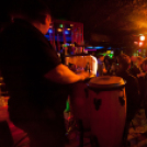 Lapos 2013.01.30. (szerda) (1) (Fotók: K. Balázs)