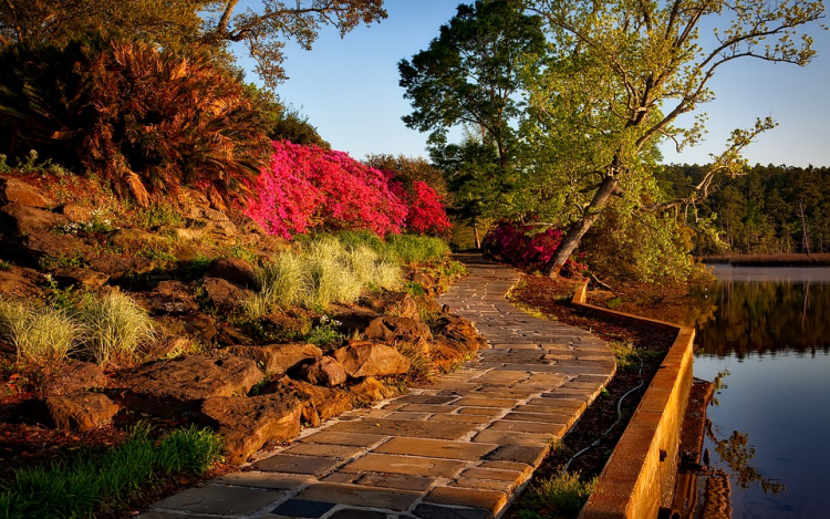 Őszi munkálatok a kertben – Tájékozódjon a szabadtéri égetés helyi szabályairól! 