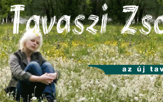 Ismét Komáromban a Mediawave