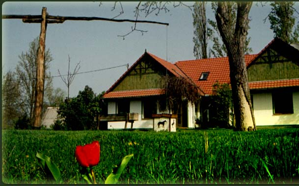 Reneszánszát éli a falusi turizmus