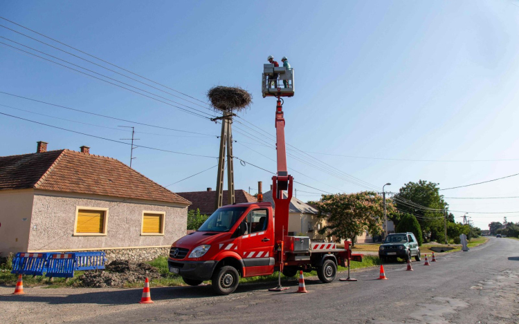 Bajba jutott gólyát mentettek Szanyban (VIDEÓ)