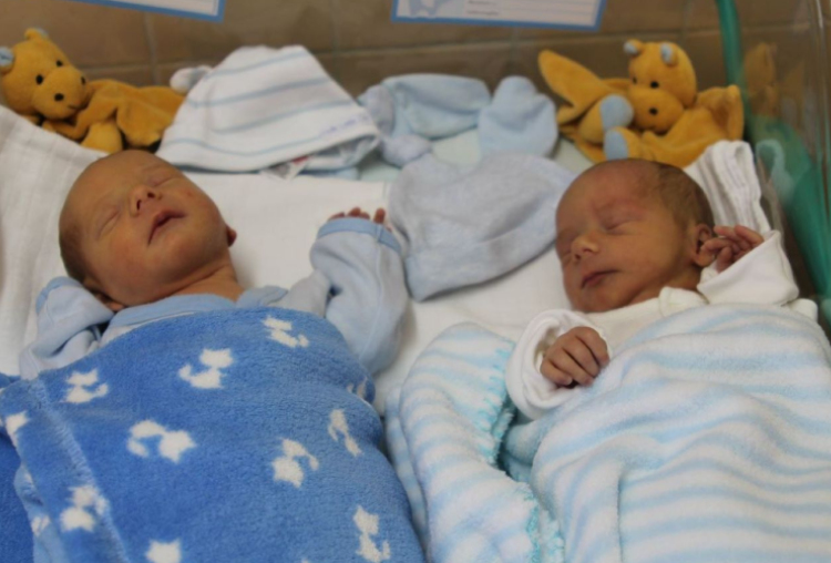 Valeslinyi Márton És Valeslinyi Dániel