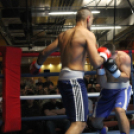 2013.02.16.Szombat Profi MMA És Box Mérkőzés Fotók:árpika