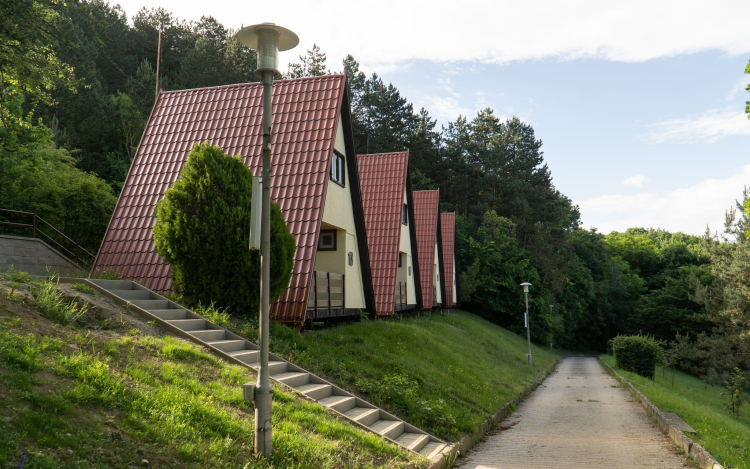 Negyvenöt éves a győrújbaráti gyermektábor, emlékszel még?