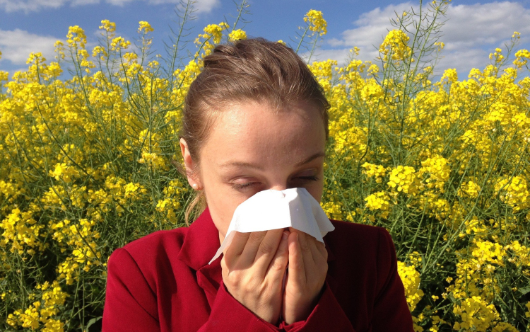 A meleg idő felerősítheti az allergiás tüneteket