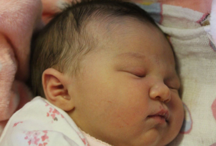 Terdik Babett Natasa 