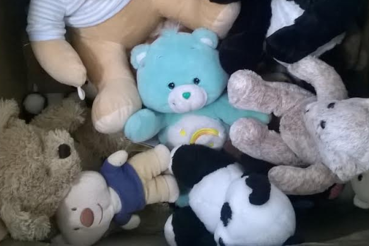 Hihetetlen összefogás - országos méretűvé nőtte ki magát a macigyűjtő akció