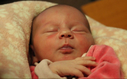 Zámbó Zselyke Erzsébet