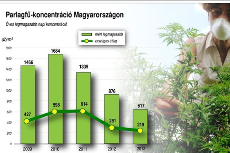 Már érdemes felkészülni a parlagfű-mentesítésre 