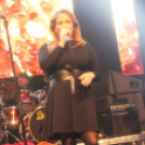 2017.10.28. Charlie 70. Születésnapi koncert Fotók:árpika 