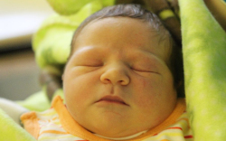 Petykó Denissza Brigitta